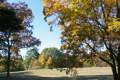Easton Harvest Fair