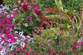 New England Fall Flower Show