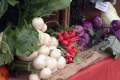Newton Farmers Market